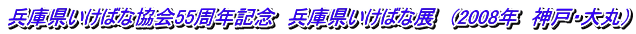 兵庫県いけばな協会55周年記念　兵庫県いけばな展　（2008年　神戸・大丸）